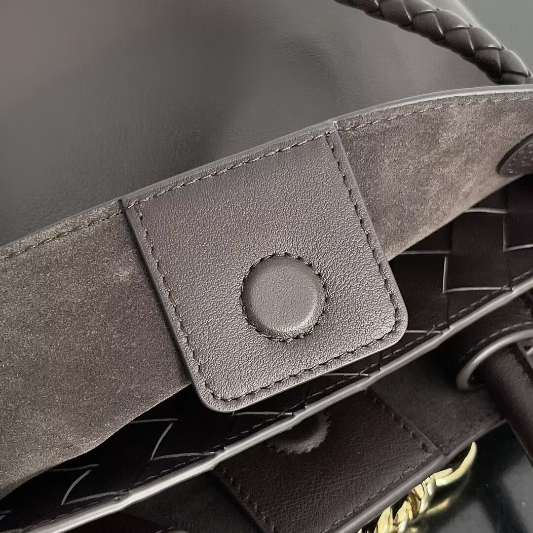 Bottega Veneta Small Andiamo 25x22x10.5cm