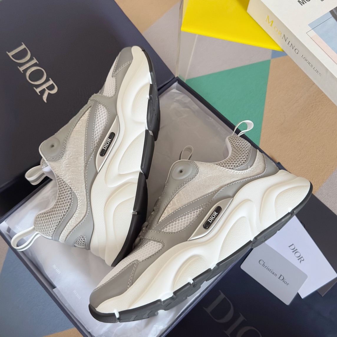 UA Dior B22 white Sneaker