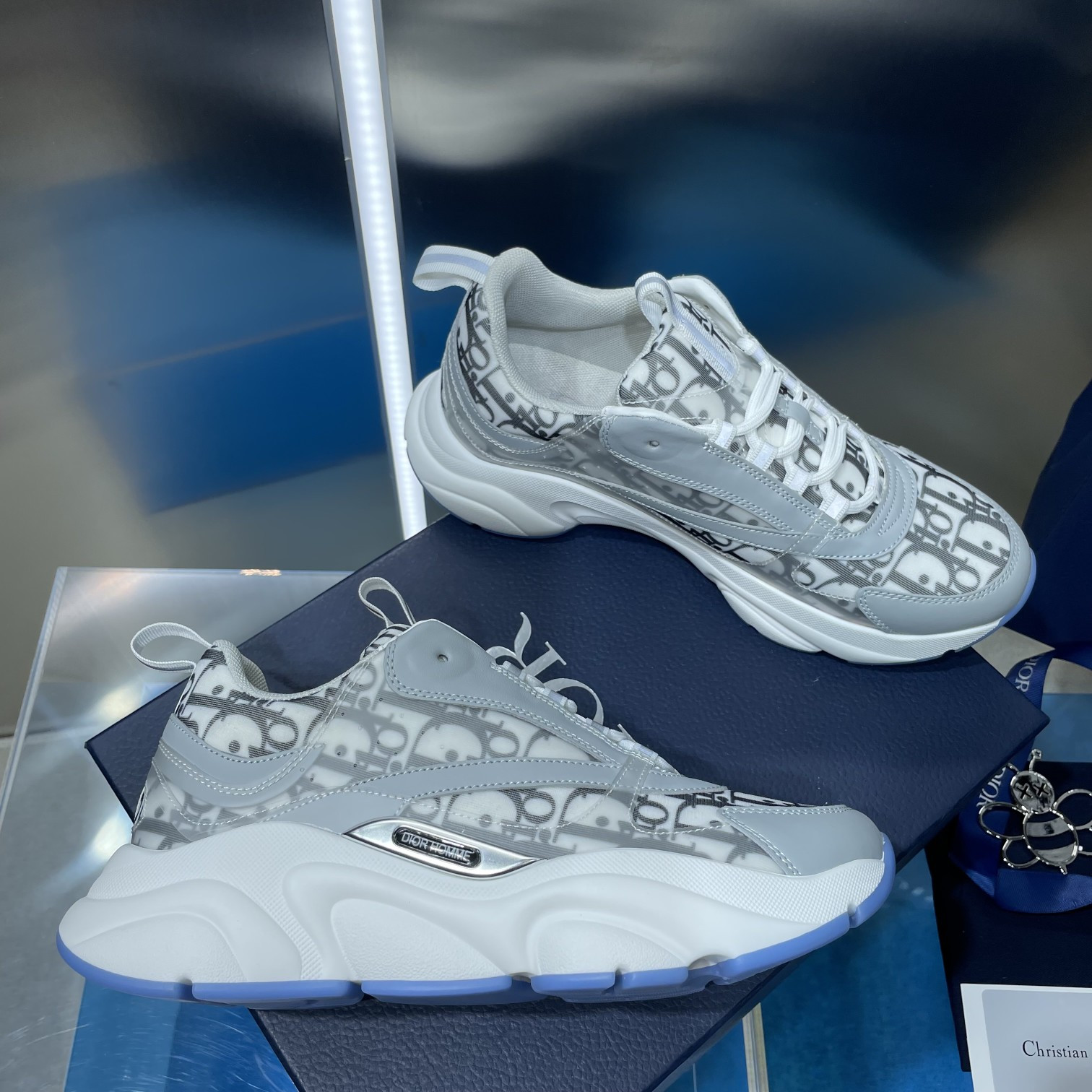 UA Dior B22 gray Sneaker
