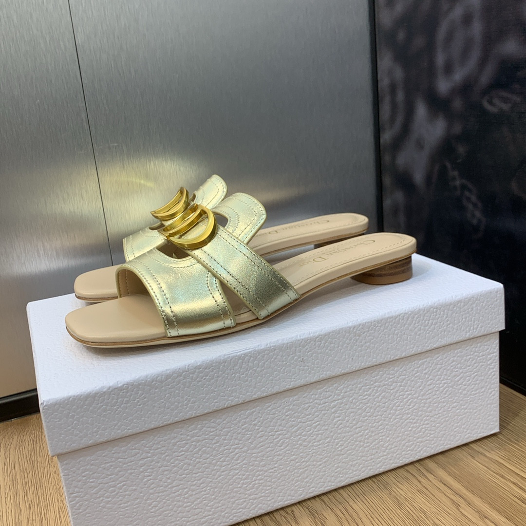 UA DIOR 30 Montaigne Slide