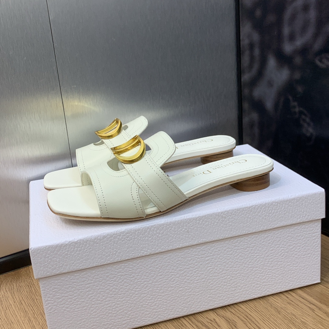 UA DIOR 30 Montaigne Slide