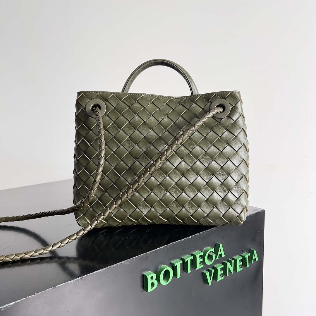 Bottega Veneta Small Andiamo 25x22x10.5cm