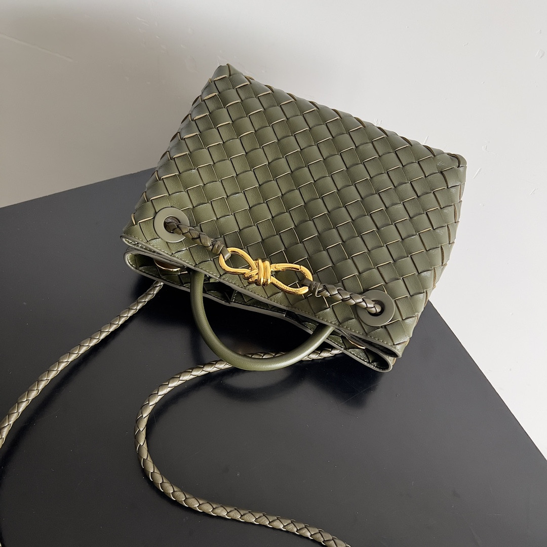 Bottega Veneta Small Andiamo 25x22x10.5cm