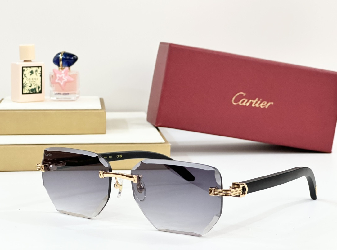 Cartier Glasses PARIS CT0620S